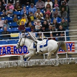 Meet your Posher, Oralee